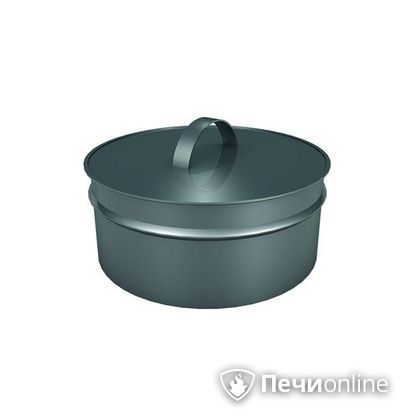 Заглушки Теплов и Сухов Заглушка ревизии Термо-Р 304 0.5 D220(120) в Рязани