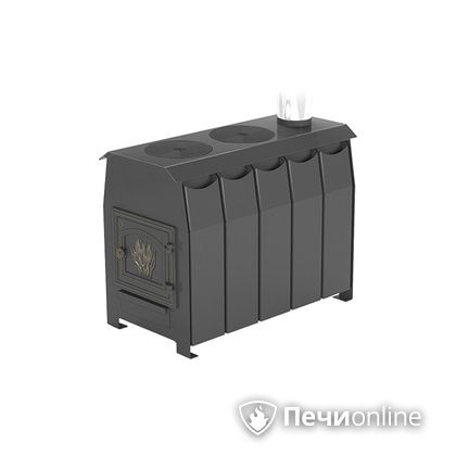 Отопительно-варочная печь Везувий Комфорт 300 (ДТ-3) в Рязани
